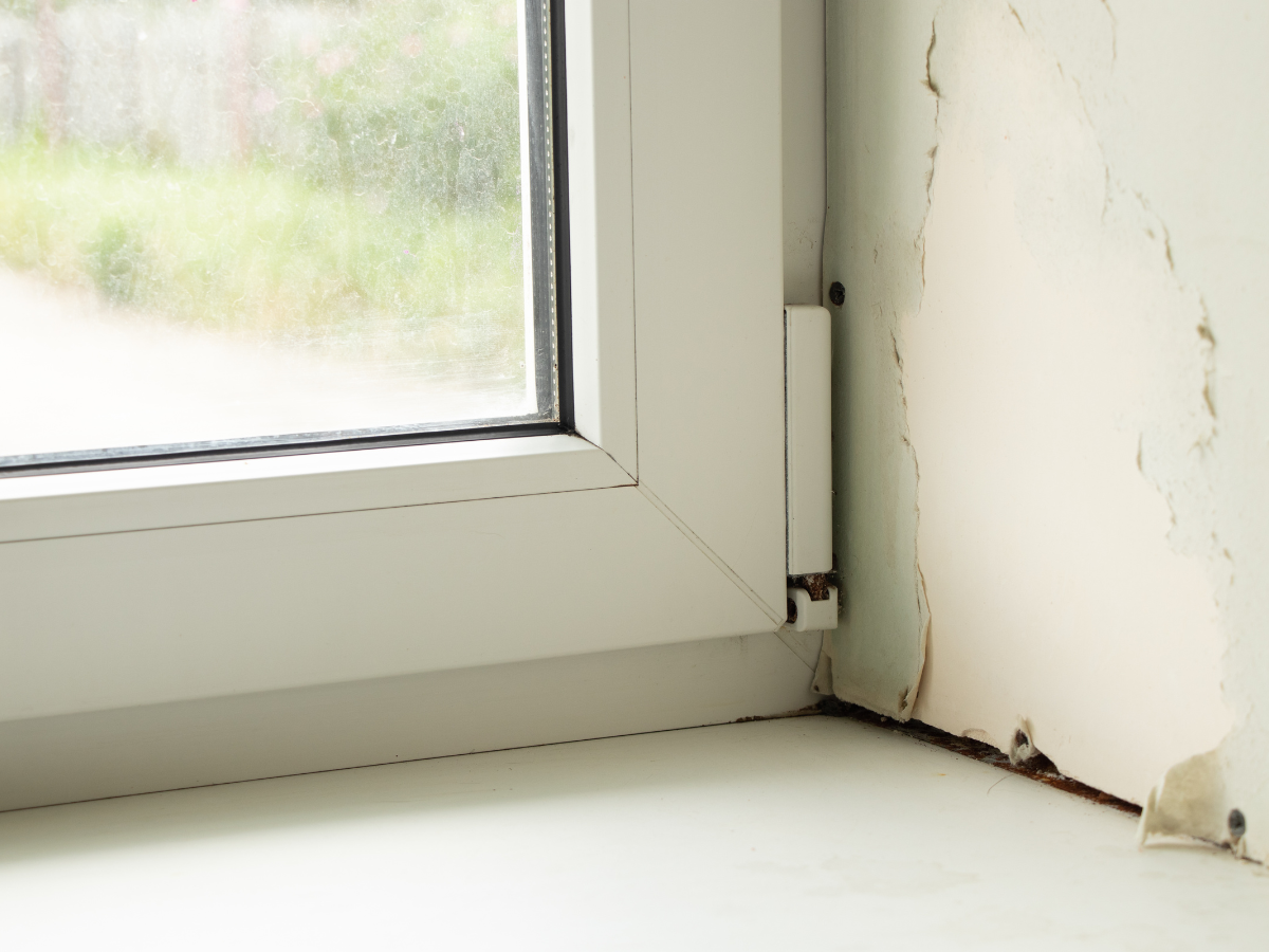 My Resident is Destroying My House—What Should I Do?